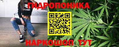 индика Краснодар