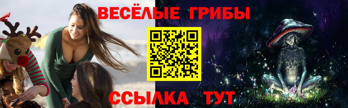 Псилоцибиновые грибы ЛСД Чебоксары