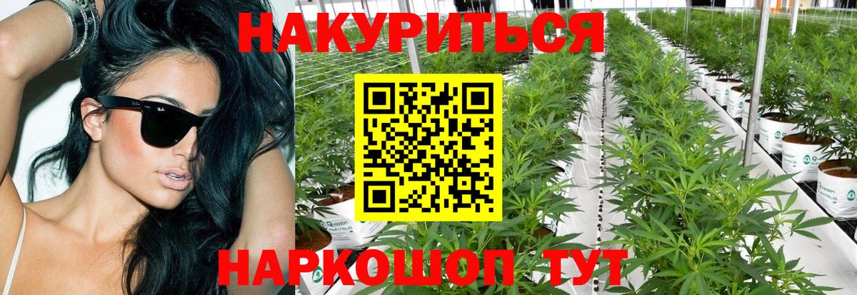 Чебоксары  Бошки Шишки тримм  Каннабис гибрид  Вход с VPN 